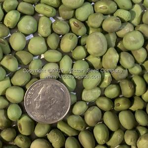 An tu bai chang lu dou Soybean