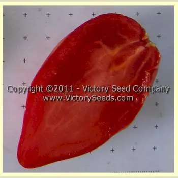 Tony's Italian Paste Tomato