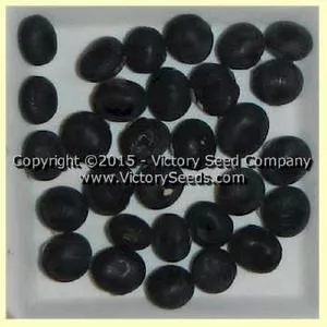 Ta li tsao shen wu tou Soybean