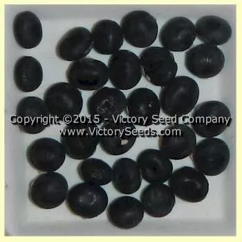 Ta li tsao shen wu tou Soybean