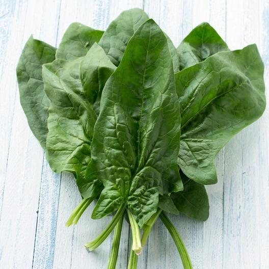 Viroflay (Monstrueux de Viroflay) Spinach