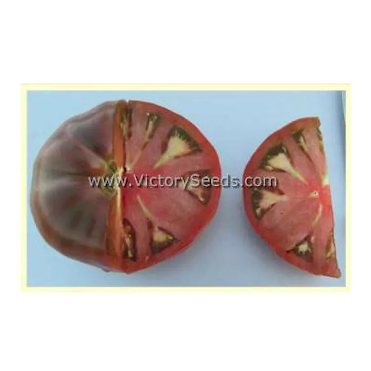 BrandyFred Tomato