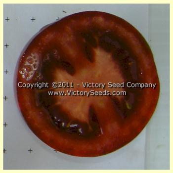 Fioletovyi Kruglyi Tomato