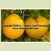Dwarf Golden Heart Tomato