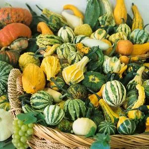 Small Mixed Gourd
