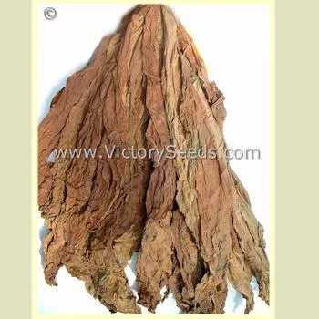 Madole Tobacco