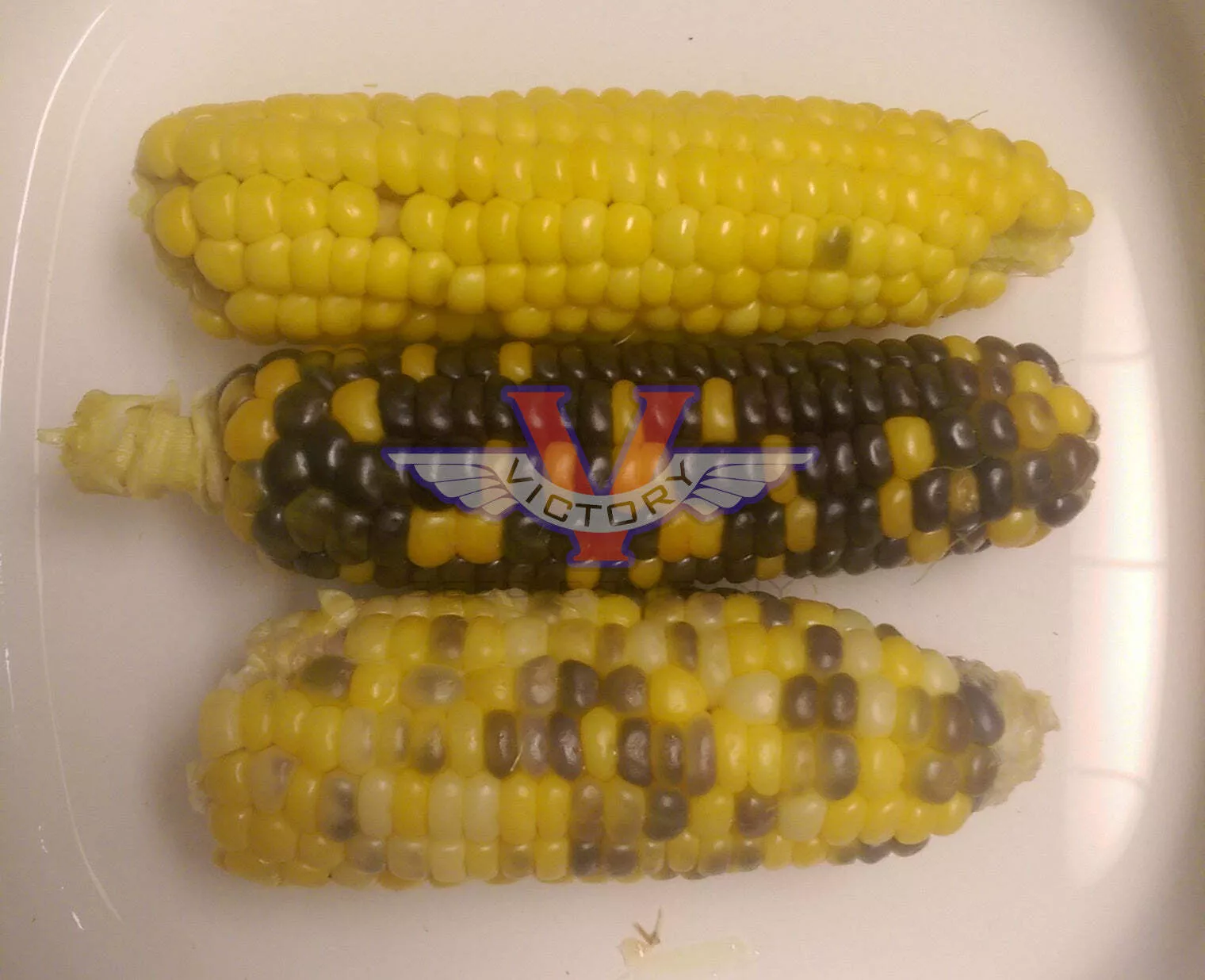 Triple Play Sweet Corn