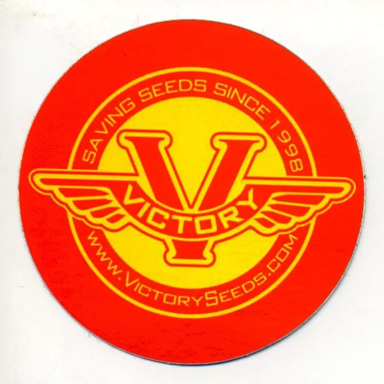 Sticker, 3-inch Round Red & Yellow Holographic