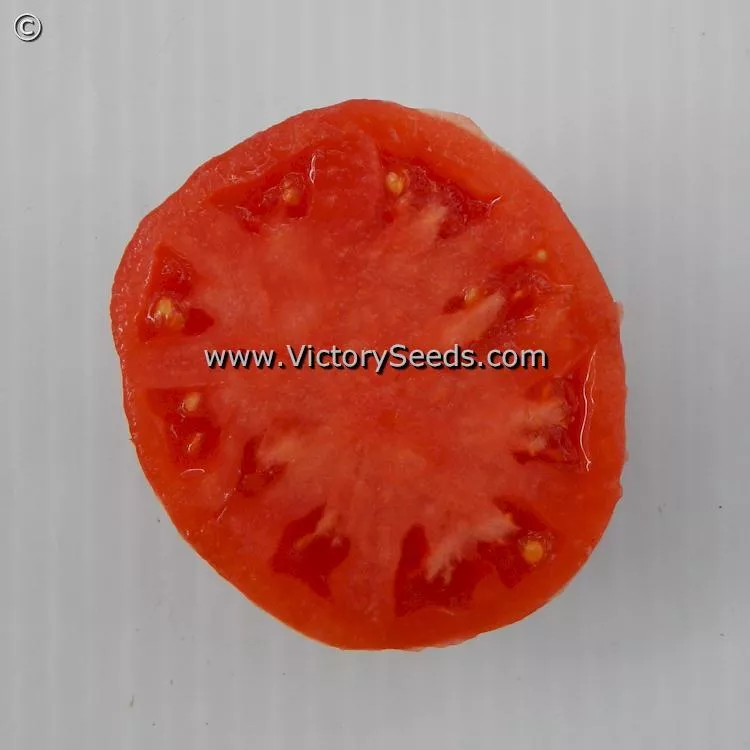 Dwarf Sonrojo Monster Tomato