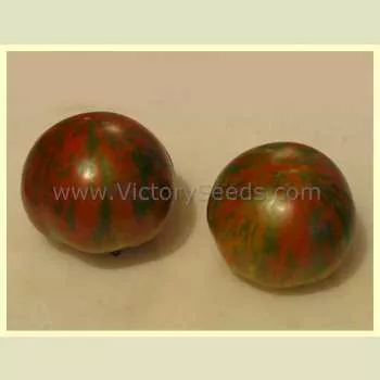 Sarandipity Tomato