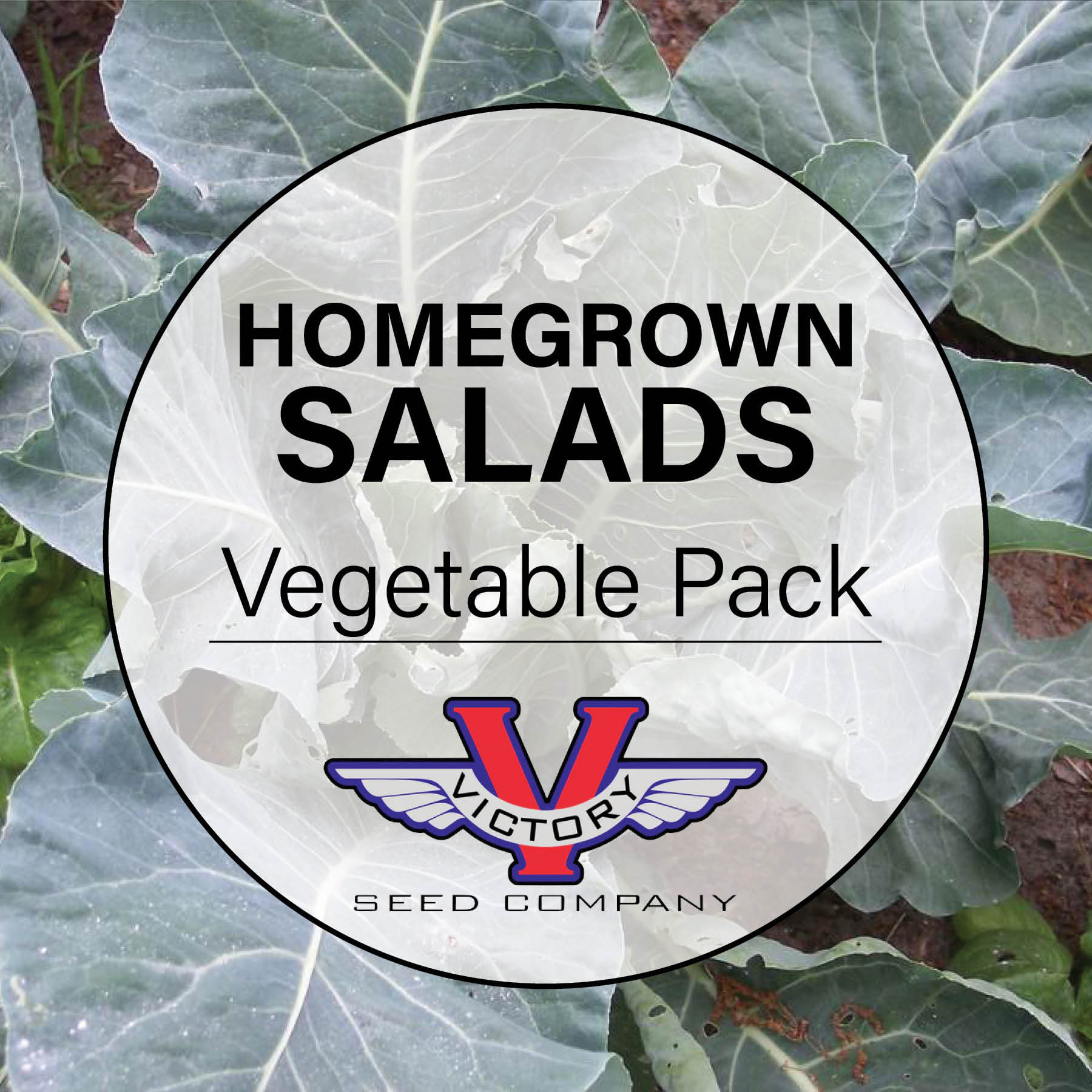Homegrown Salads Vegetable Garden Pack
