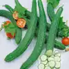Suhyo Long Cucumber