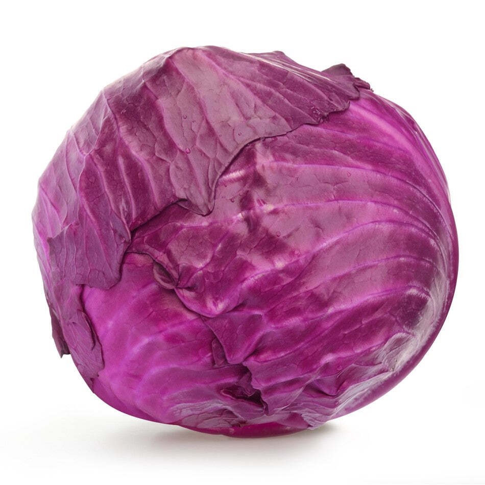 Red Acre Cabbage