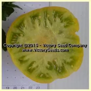 Big Green Dwarf Tomato