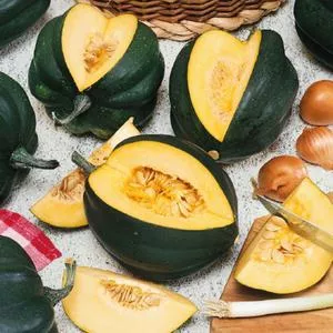 Ebony Acorn Squash