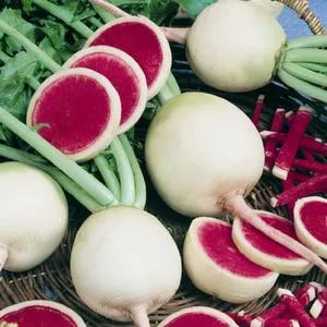Watermelon Radish