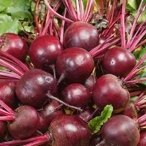 Beets