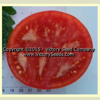 Cardinal Tomato