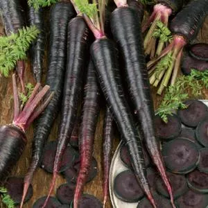Black Nebula Carrot