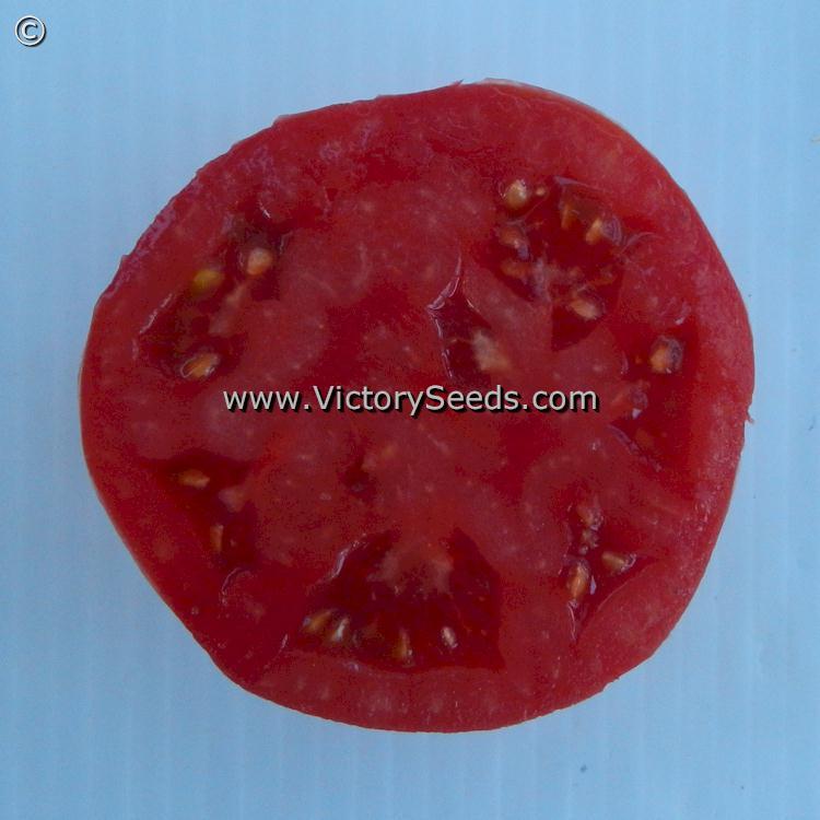 Rieger's Mortgage Lifter Tomato