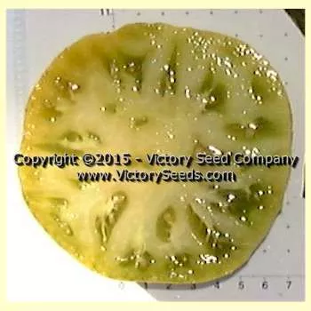 Green Giant Tomato