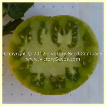 Summertime Green Tomato