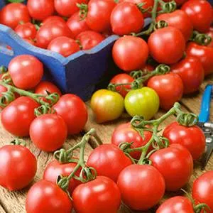 Principe Borghese Tomato