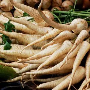 Parsnips