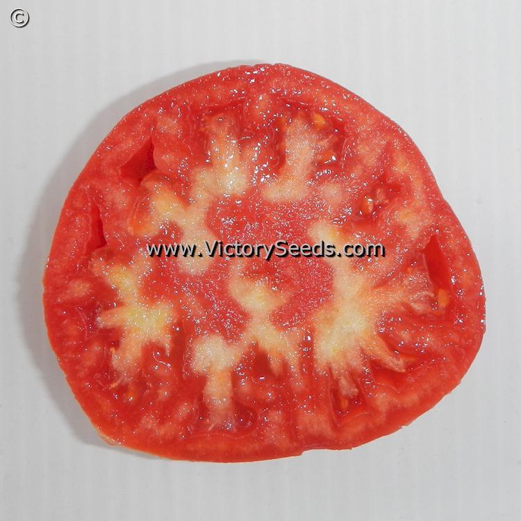 Bethel Bounty Tomato