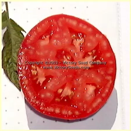 Burpee's 'Globe' Tomato
