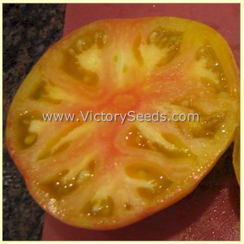 Dwarf Confetti Tomato