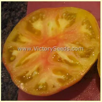 Dwarf Confetti Tomato