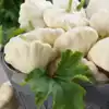 Early White Bush Scallop (White Patty Pan) Summer Squash