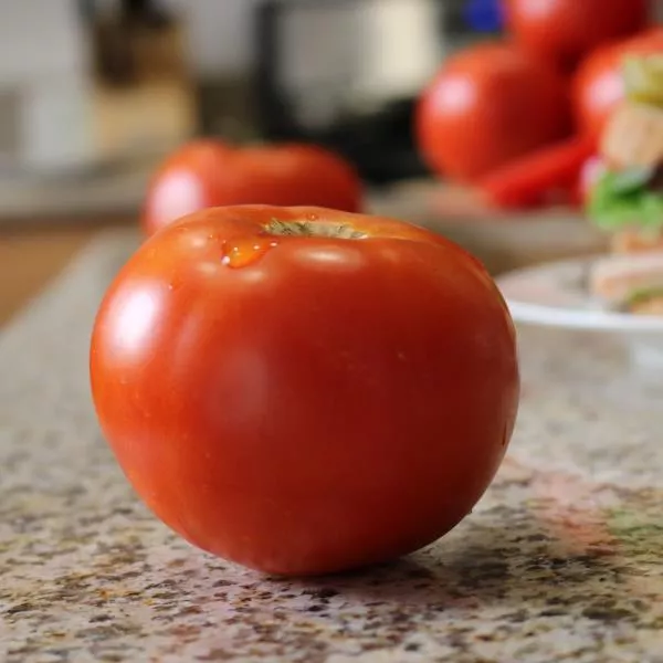 Celebrity Plus F1 Tomato