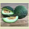 Tendral Verde Tardif Melon