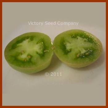 Dwarf Beryl Beauty Tomato
