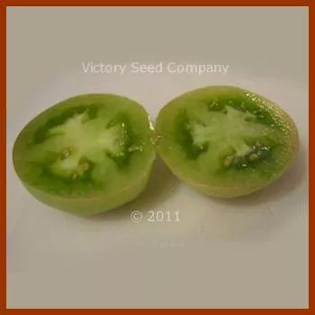 Dwarf Beryl Beauty Tomato