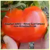 Tanunda Red Tomato