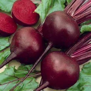 Detroit Dark Red Beet