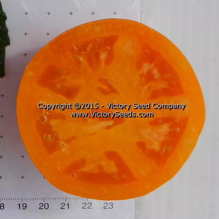 Faribo Golden Heart Tomato