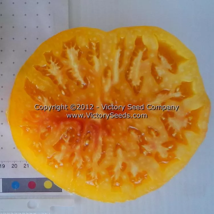 Paw Paw Tomato