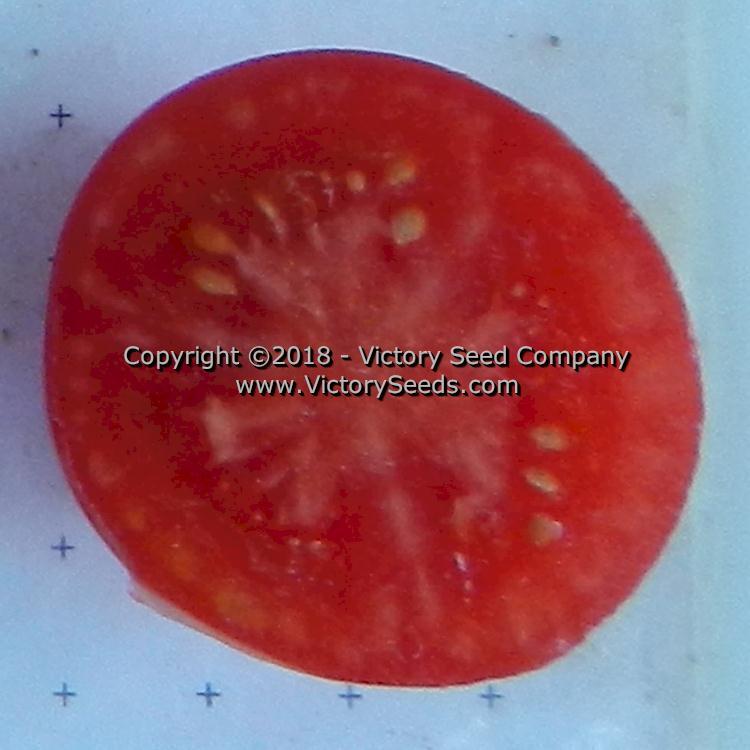 Dwarf Pink Opal Tomato