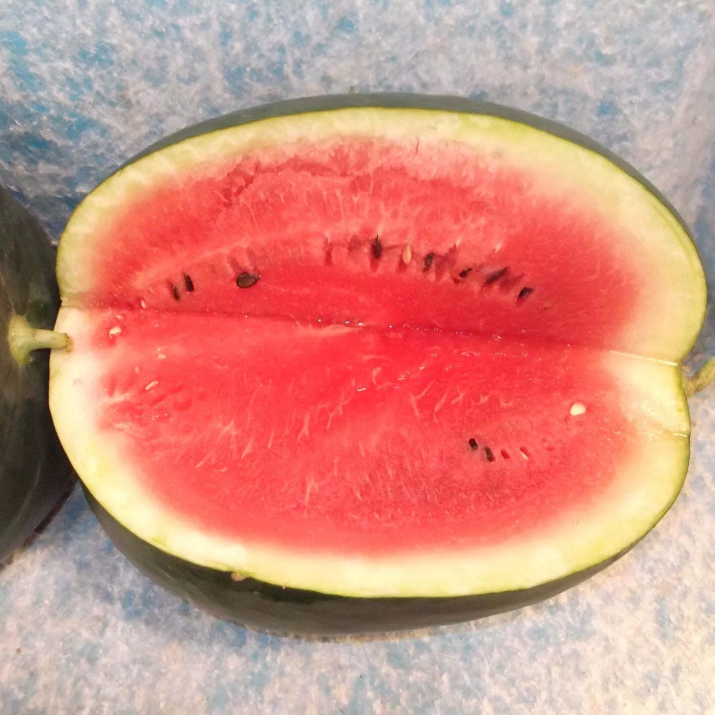 Black Diamond Watermelon