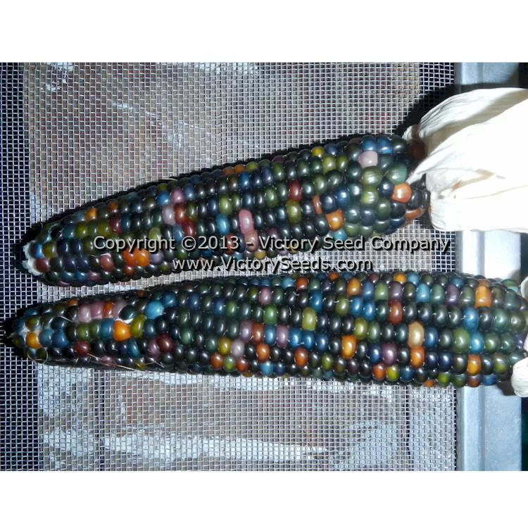 Glass Gem Popcorn
