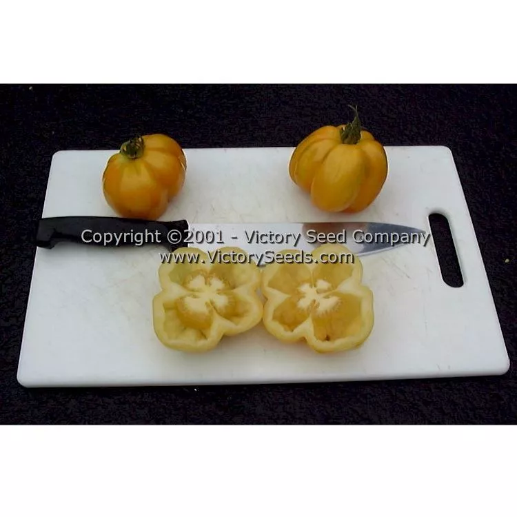 Yellow Stuffer (aka Golden Stuffer) Tomato
