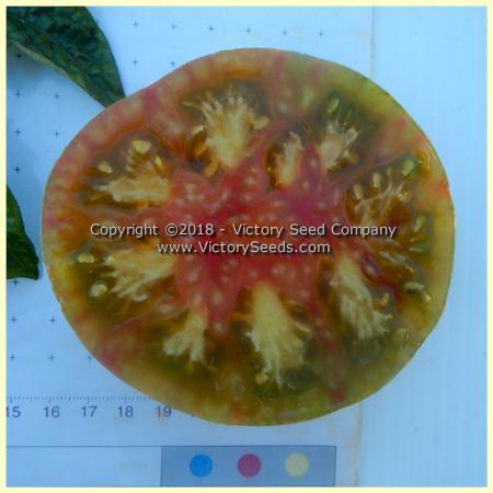 Dwarf Peppermint Stripes Tomato