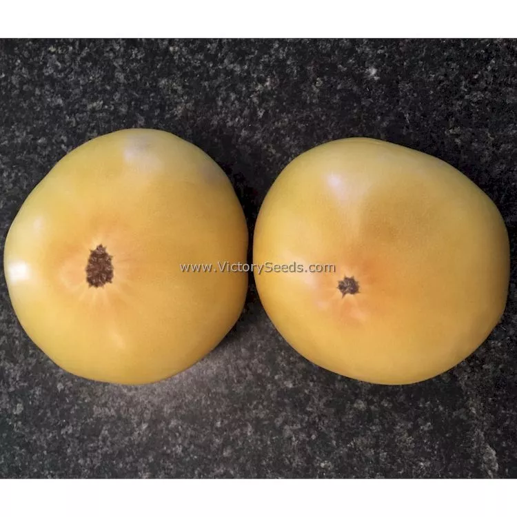 Dwarf Goldfinch Tomato