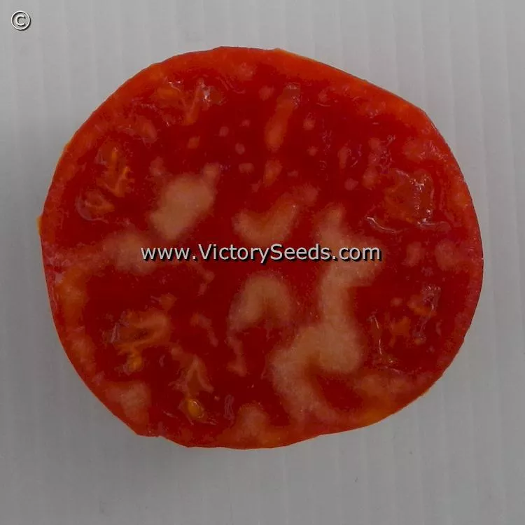 Aker's West Virginia Tomato