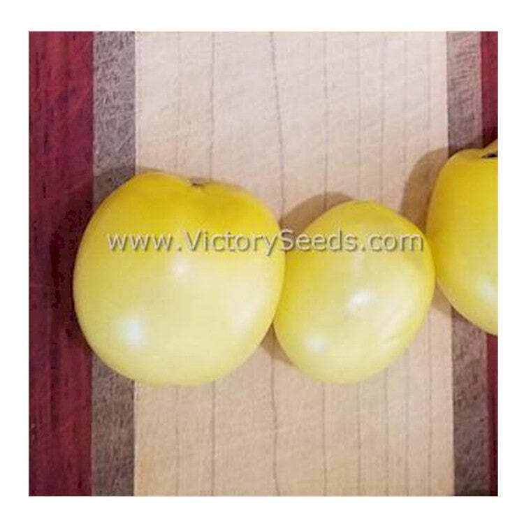 Dwarf Mandurang Moon Tomato