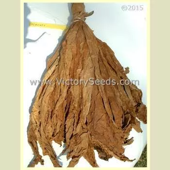 Warner Tobacco